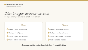Déménager avec un animal : ce qui change entre le chat et le chien