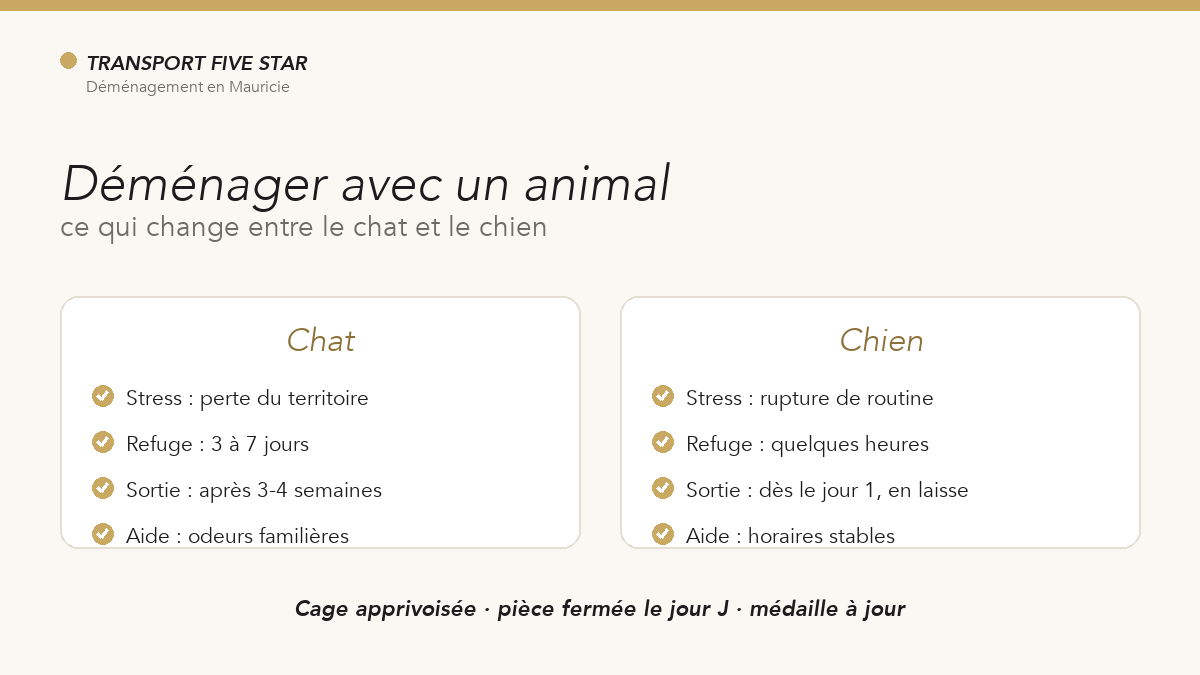 Déménager avec un animal : ce qui change entre le chat et le chien